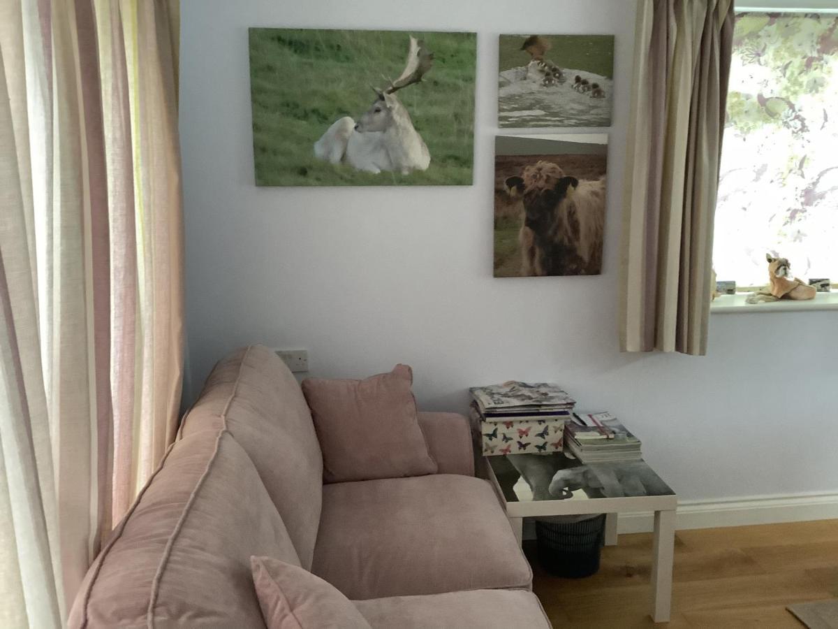 Exmoor Retreat On Two Moors Way Withypool Exterior foto